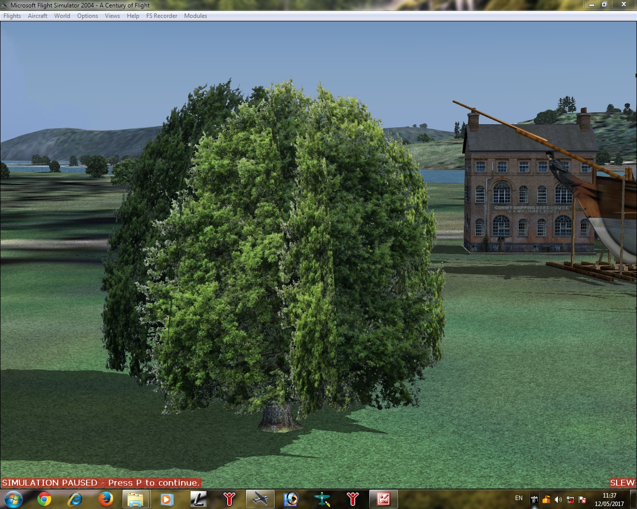 _trees1.jpg