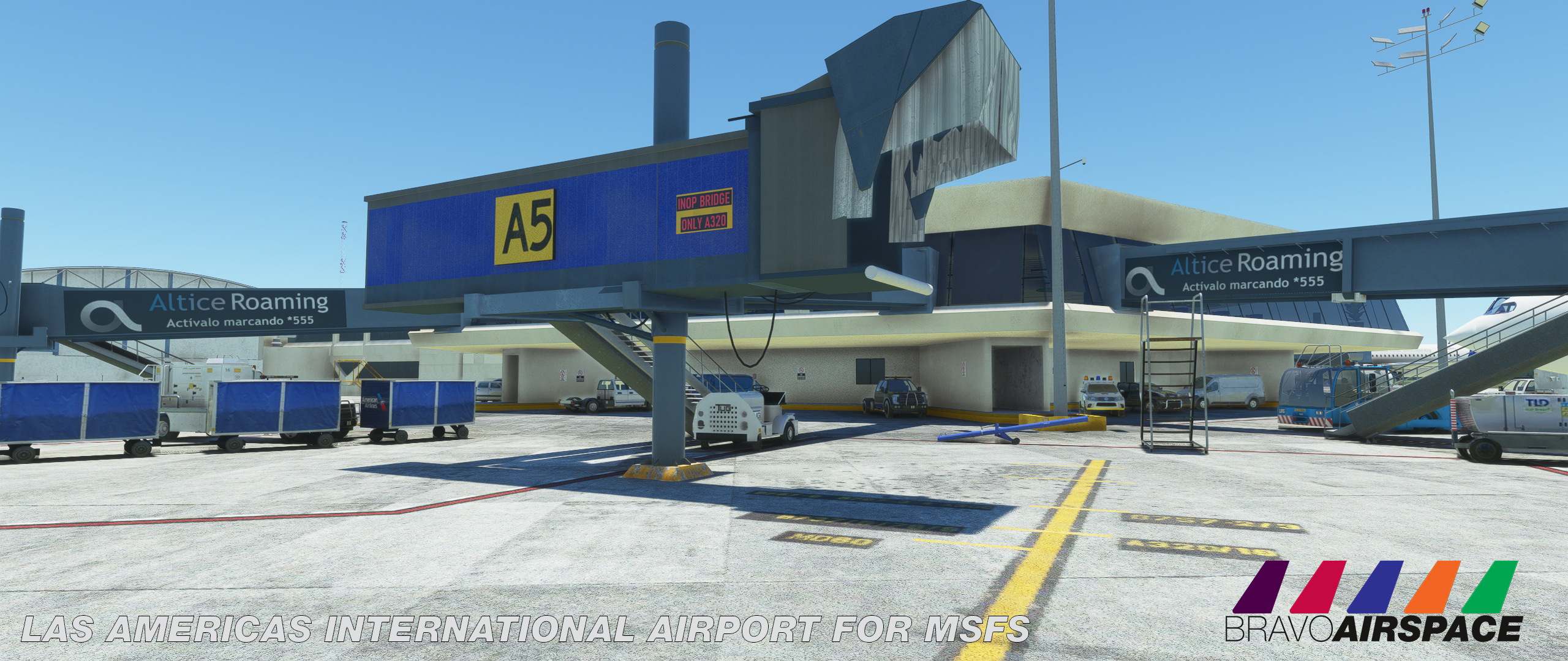 bravoairspace francis johannes mdsd msfs (24).jpg