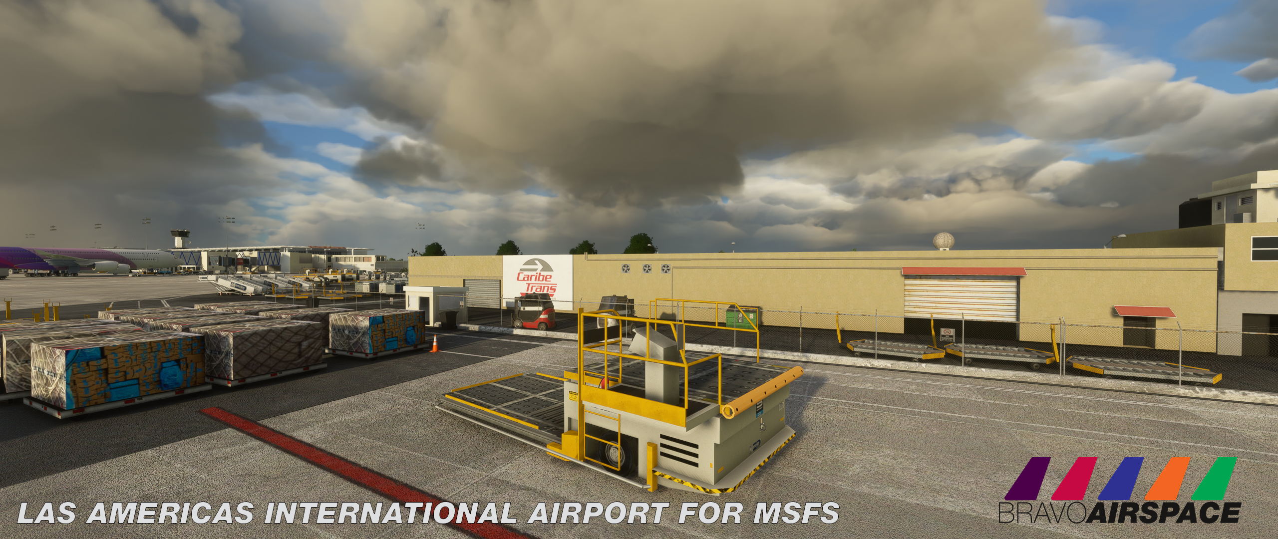 bravoairspace francis johannes mdsd msfs (8).jpg