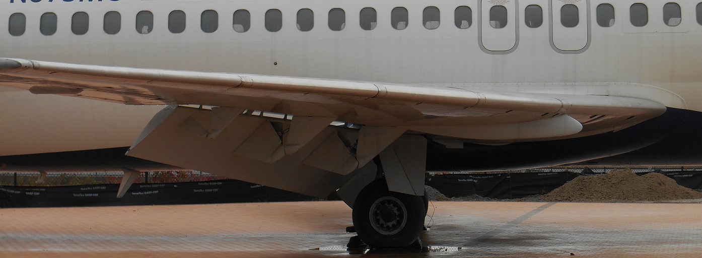 D95wing1.JPG