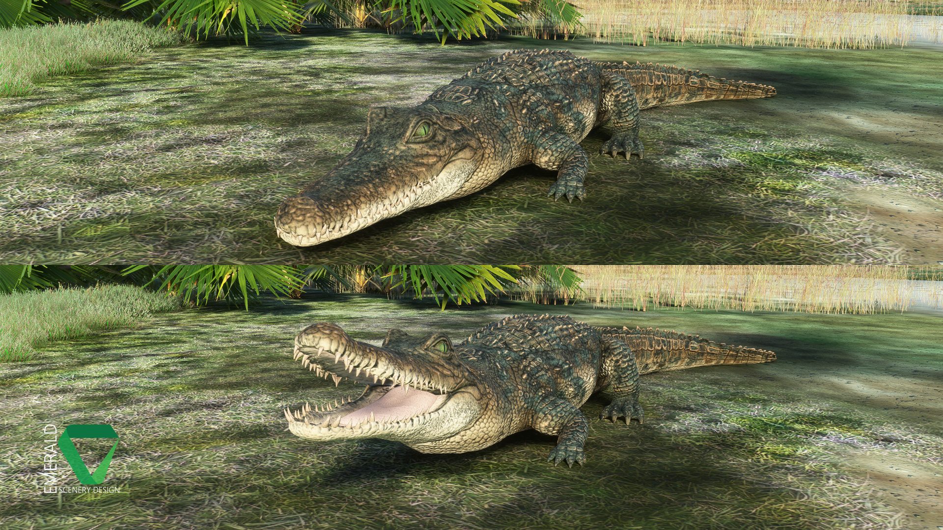 ESD_67FL_Myakka_WIP_Gator.jpg