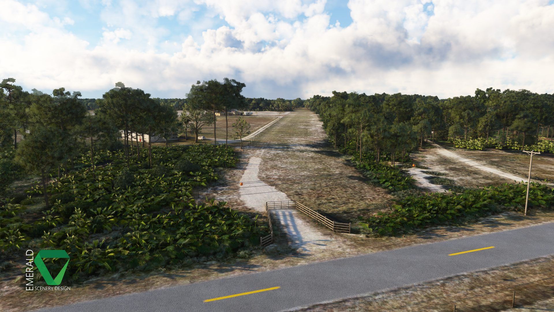 ESD_Bald_Eagle_Airfield_Myakka_Head_10.jpg