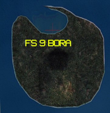 FS9 Bora.jpg