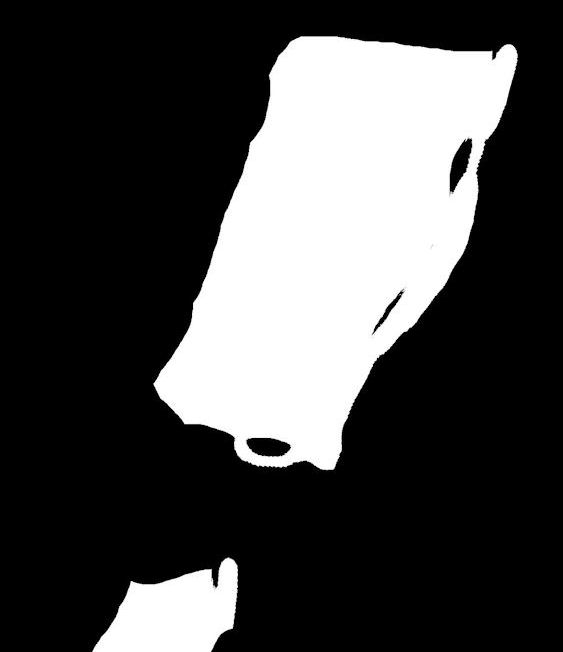 FSD IMAGE.jpg