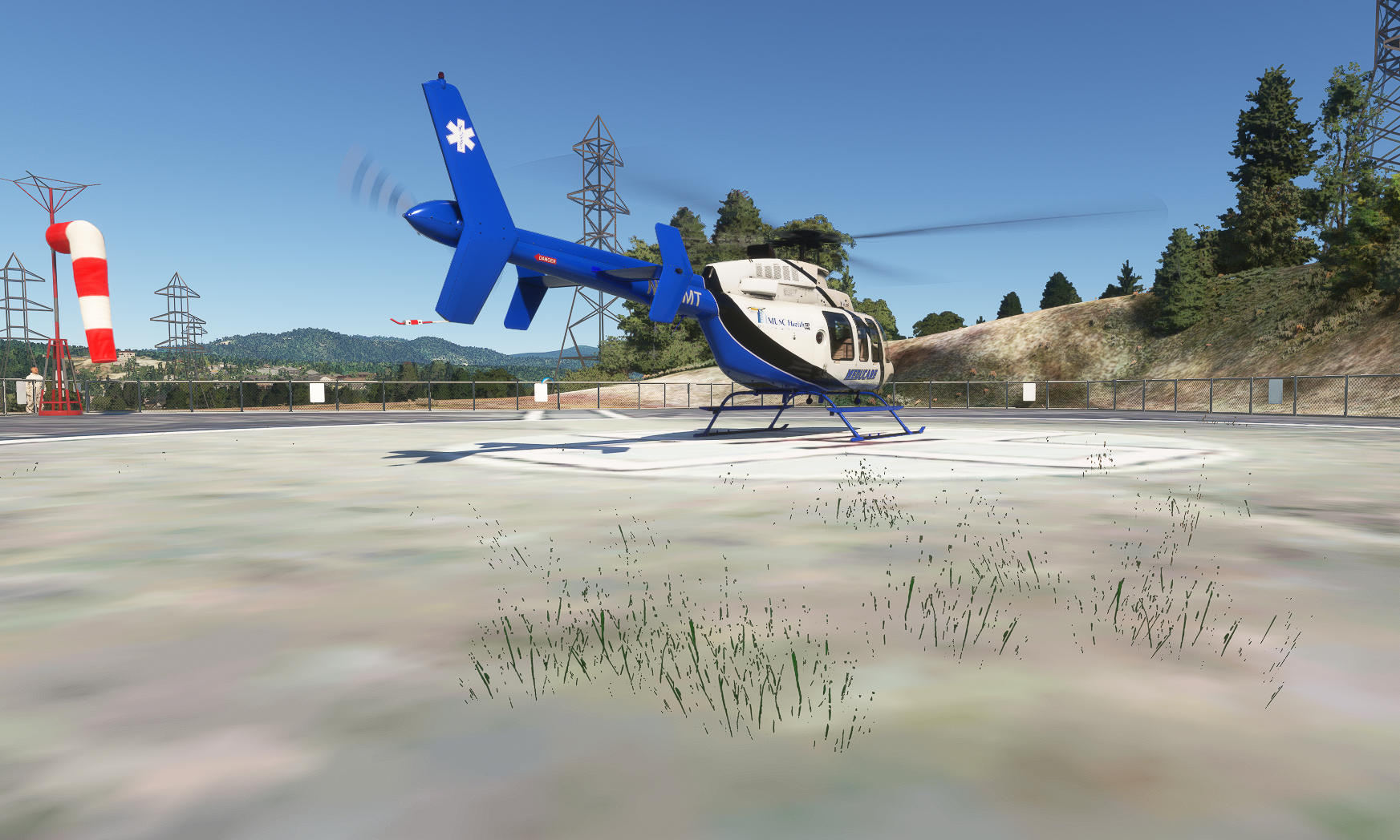 grass.jpg