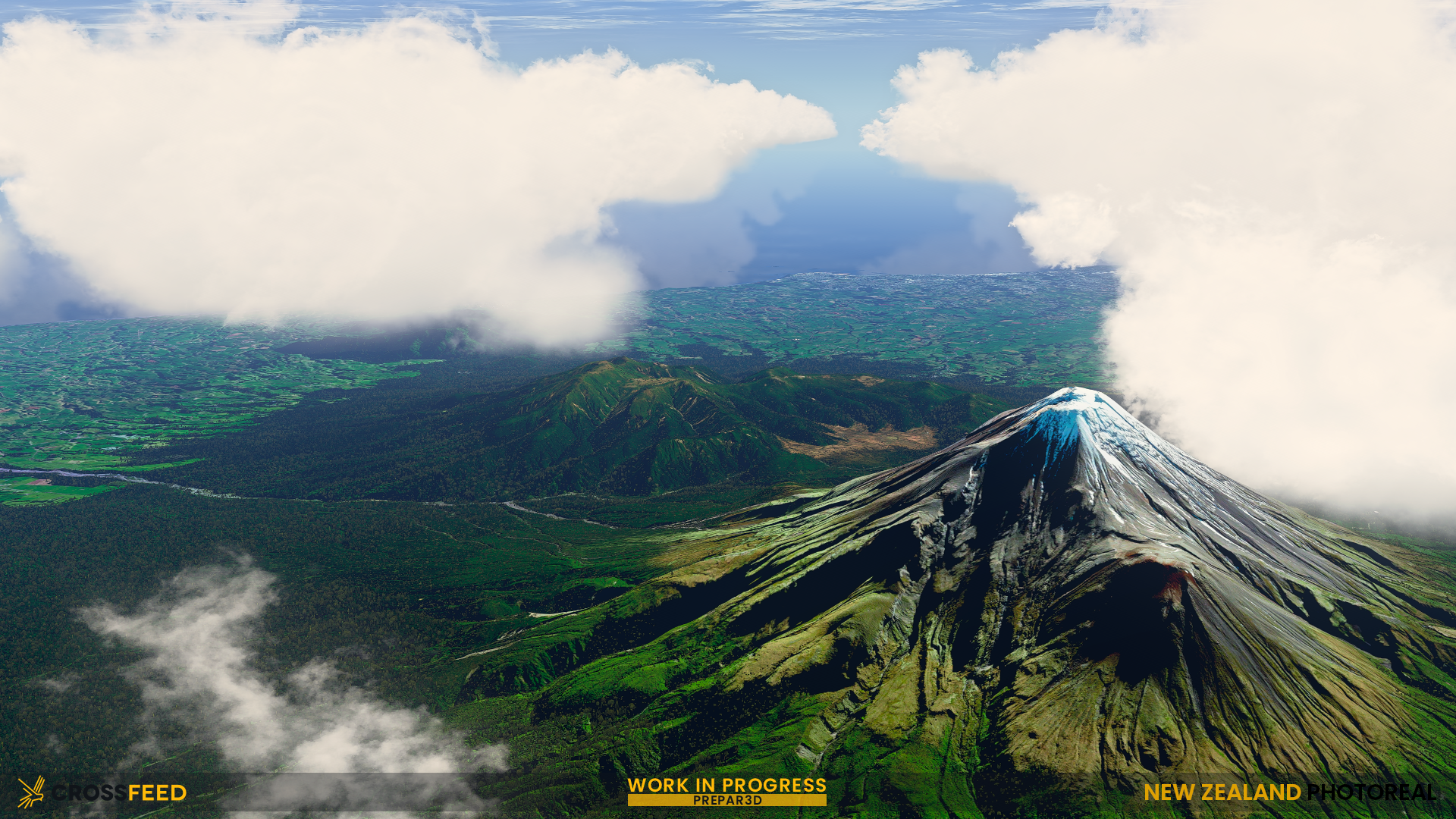 NZ Preview 4.png