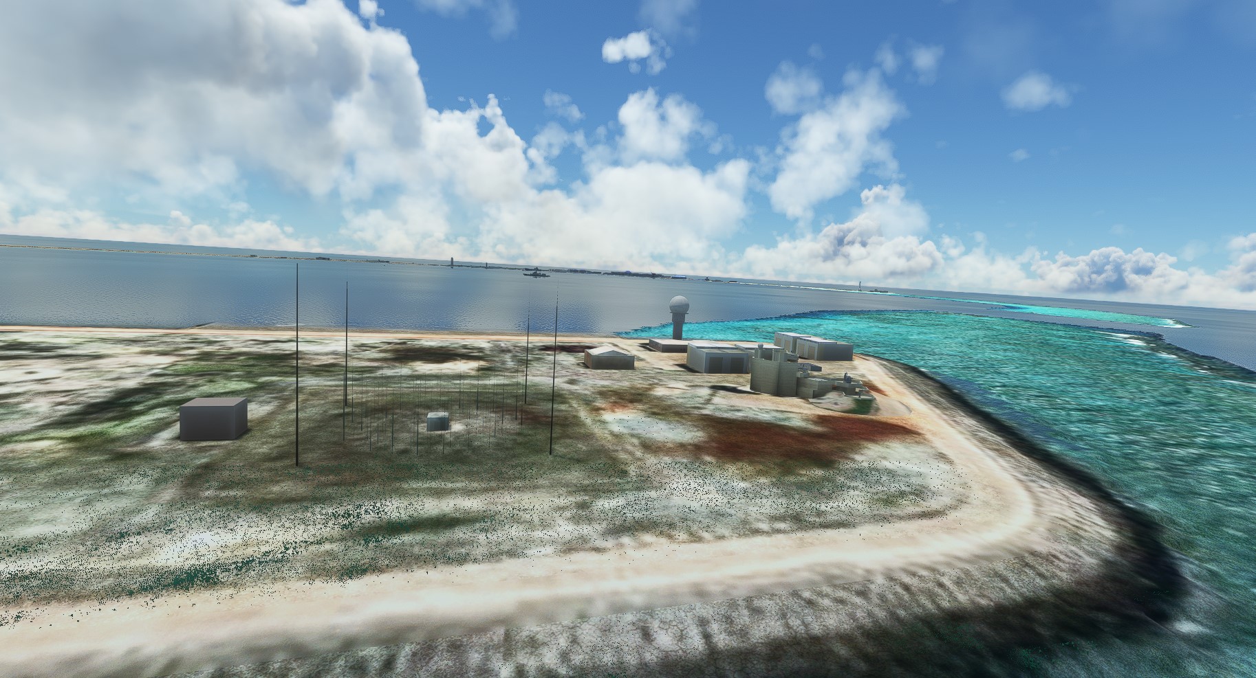 reef life.jpg