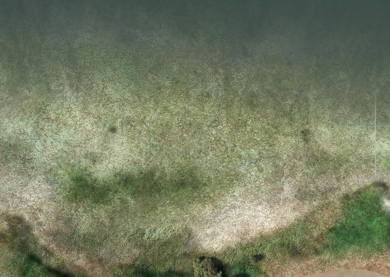 sechelt_shoreline_texture.png
