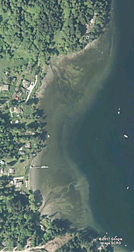 shallow shoreline.jpg