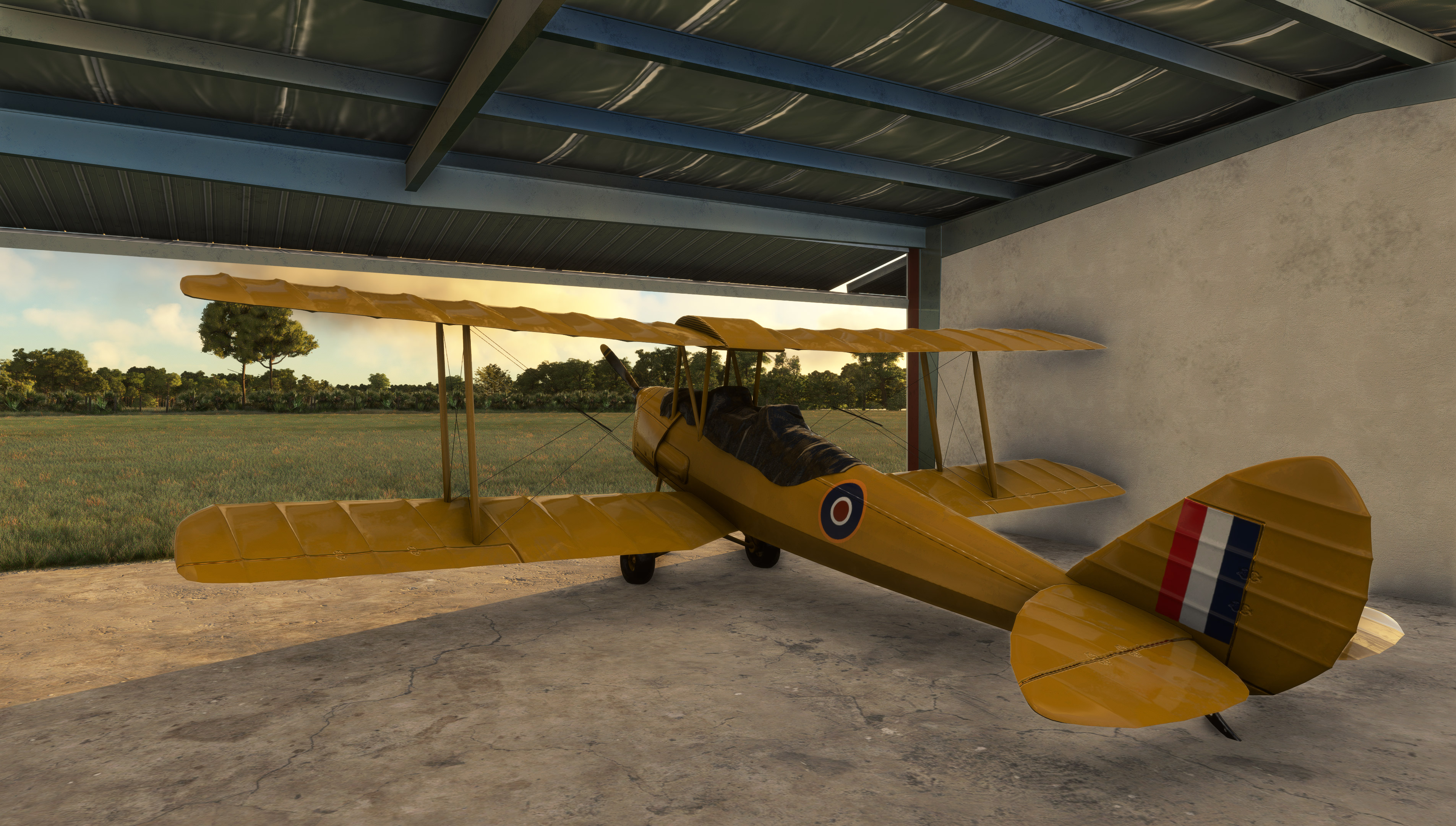 TigerMoth.jpg