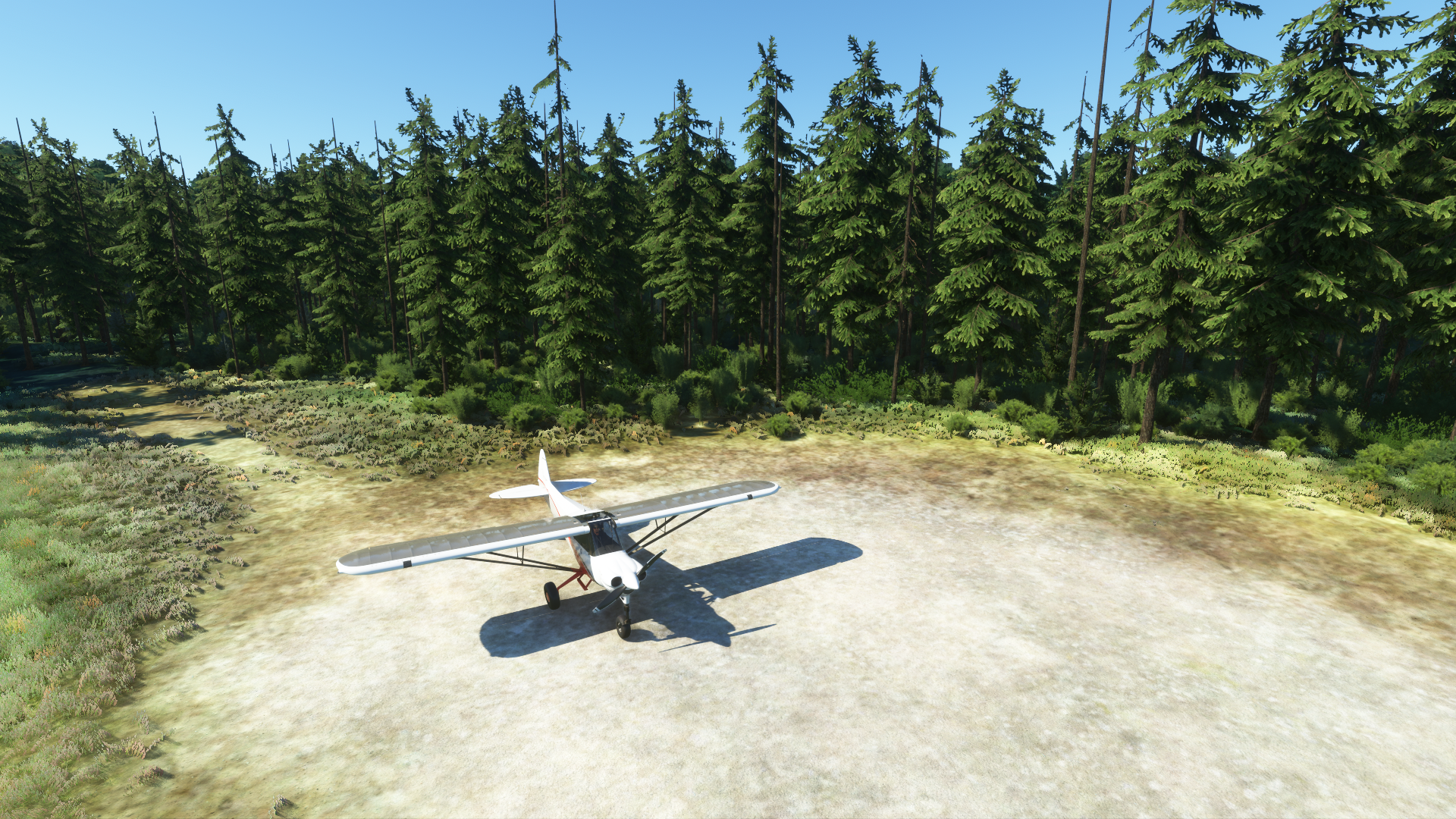 trees1.PNG