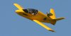 SubSonex_Fly-By_6534.jpg