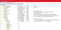 FSDS Regedit Error.jpg
