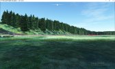 MSFS_Grass_Persists_Over_Default_MSVE_PR_With_Vegetation_Exclude_Polygon.jpg