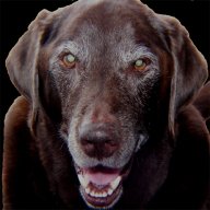 OleGreyGhost