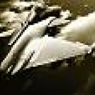 crazieman_47