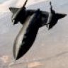 Blackbird
