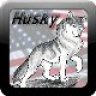 Husky