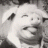 SanderH